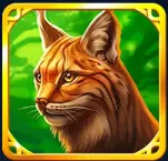 Lynx Symbol